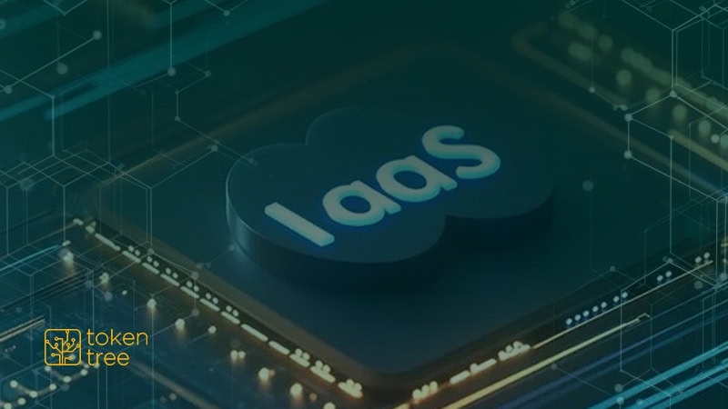 Read more about the article (IaaS) para pagamentos: A liberdade e o controle que sua empresa precisa
